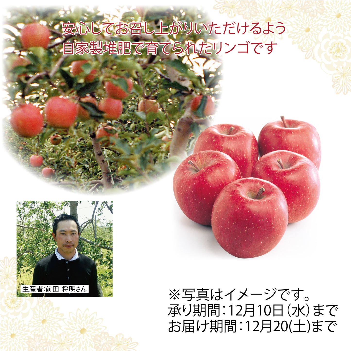 長野県 松本市産 前田農園 サンふじりんご 1箱(約5kg・14~18玉入)