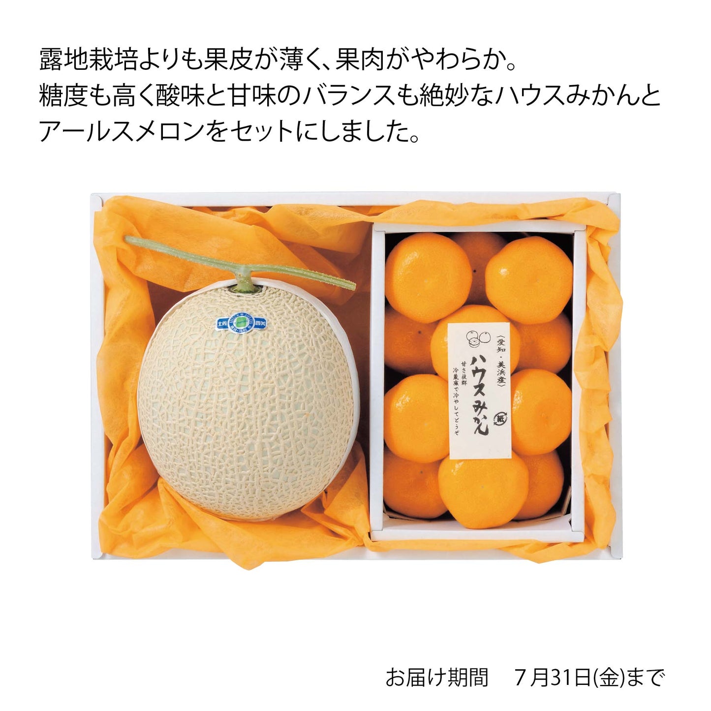 高知県産 アールスメロン&愛知県産 ハウスみかん