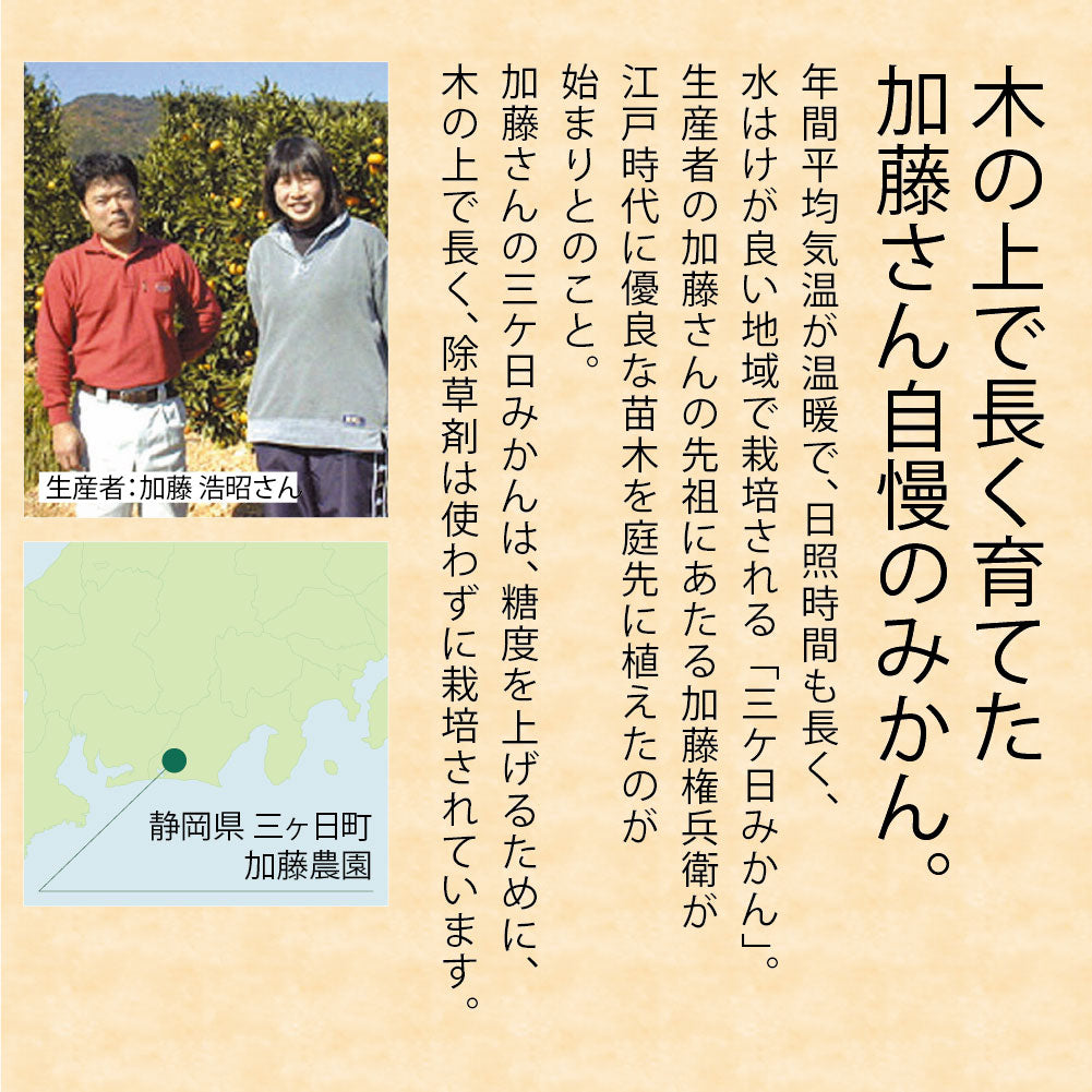 静岡県 三ケ日町産 三ケ日みかん Lサイズ・約5kg