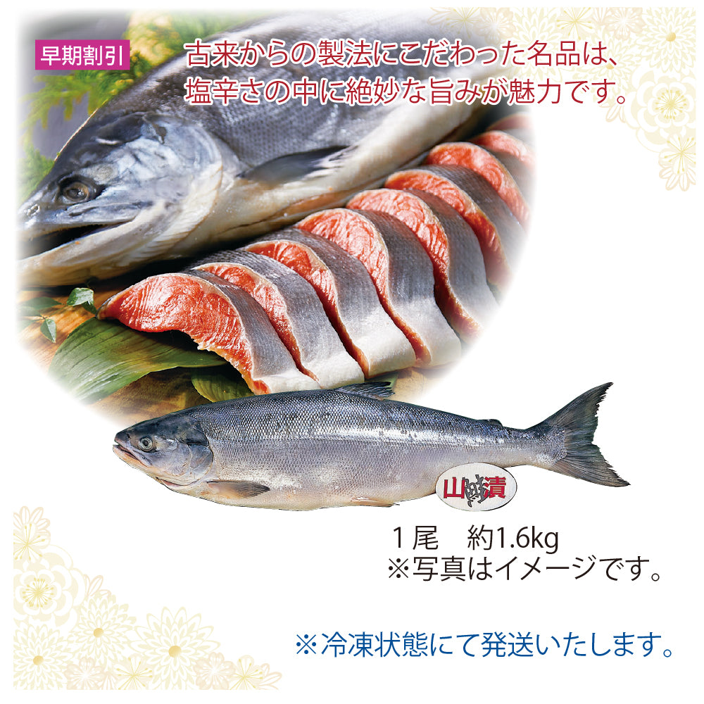 ロシア産 「山漬加工」頭付塩紅鮭(中塩味)1尾 約1.6kg