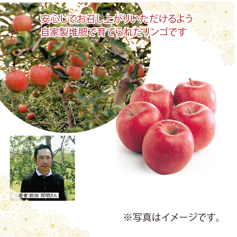 長野県松本市産 前田農園 サンふじりんご 5Kg14-18玉