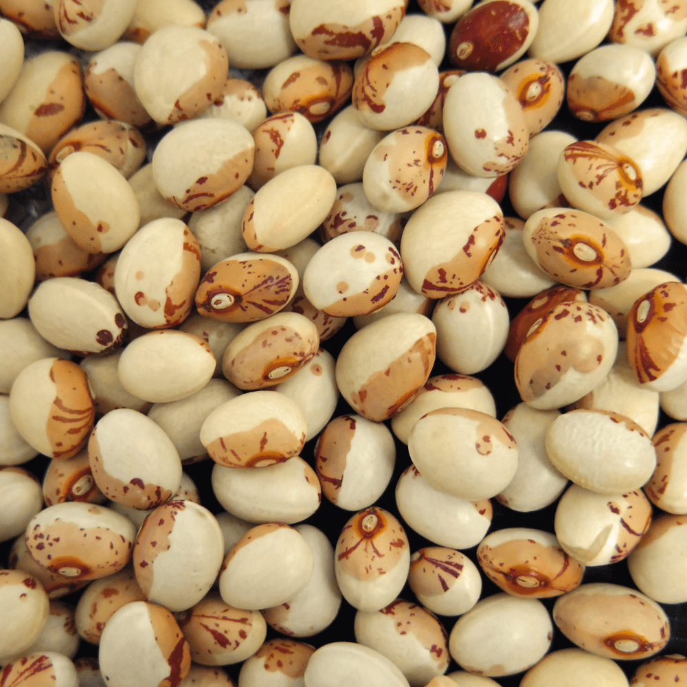 Pantry&Lucky 北海道産 虎豆 200g