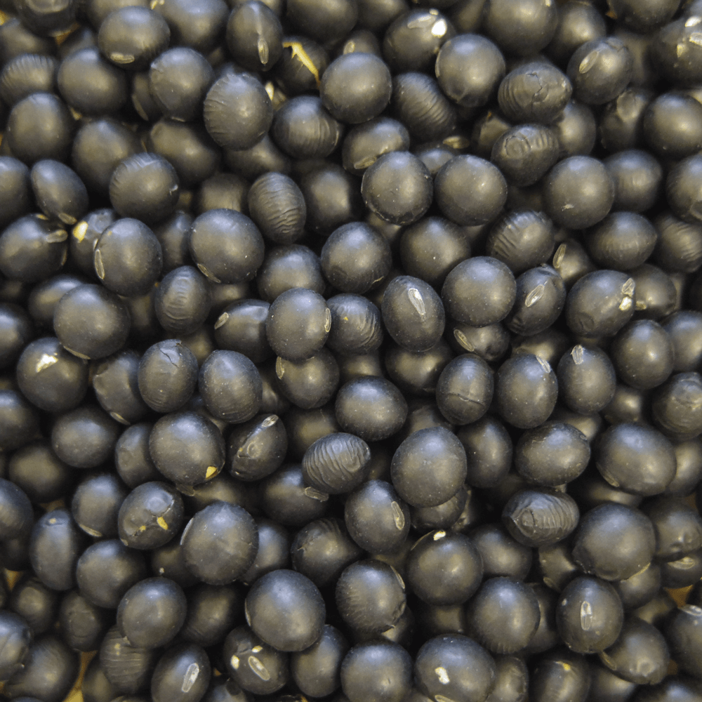 Pantry&Lucky 北海道産 光黒大豆 300g