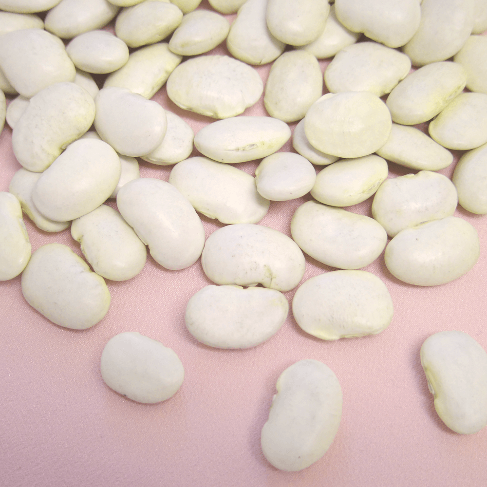 Pantry&Lucky 北海道産 白花豆 200g