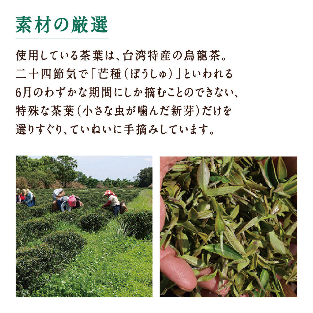 Pantry&Lucky 香檳烏龍茶(シャンピンウーロン茶) 500ml×24本入