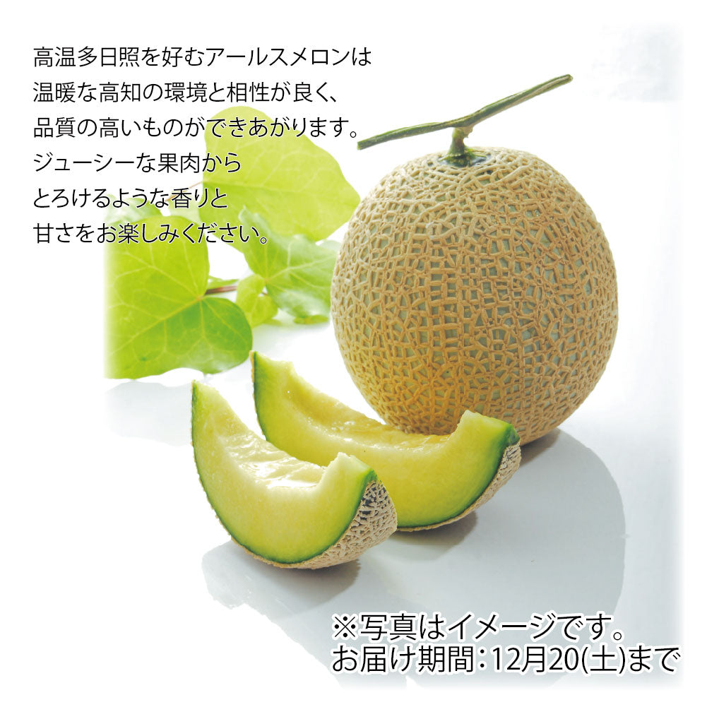 高知県産　アールスメロン