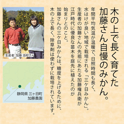 静岡県　三ケ日町産　三ケ日みかん　Ｌサイズ・約5ｋｇ