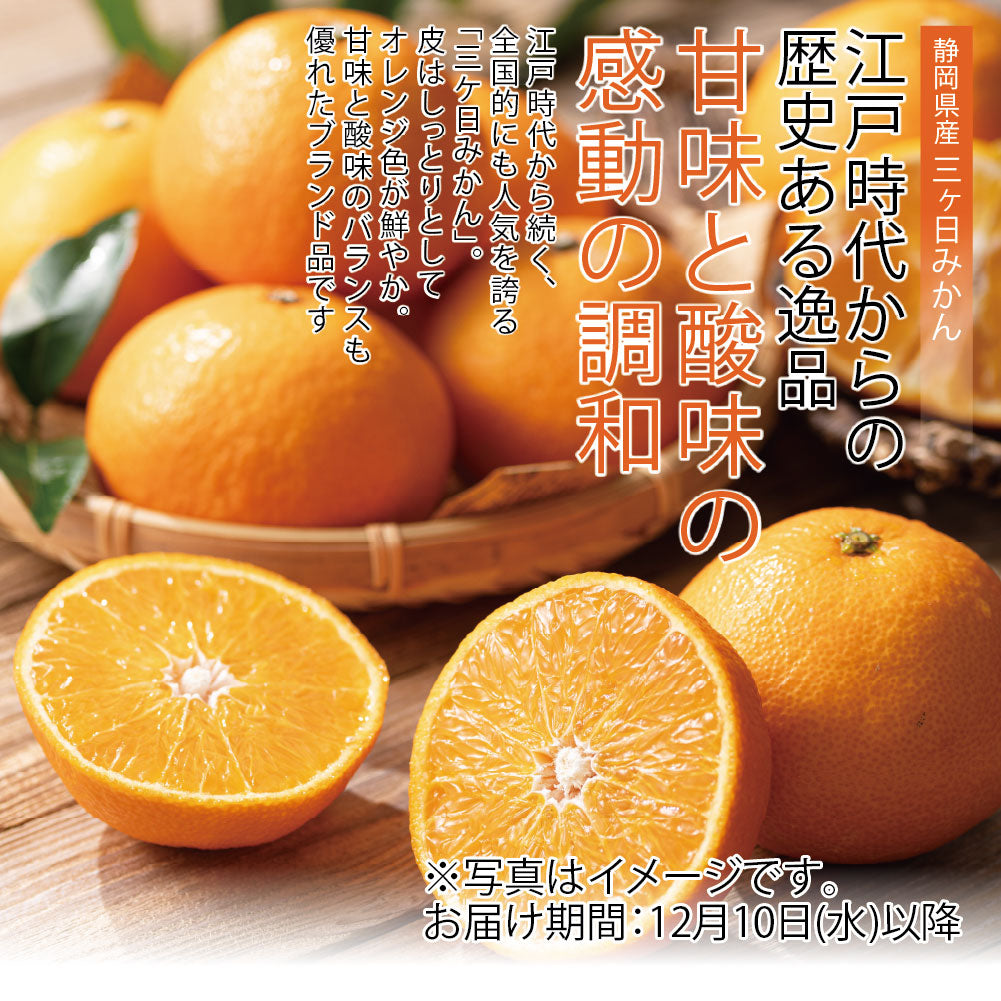 静岡県　三ケ日町産　三ケ日みかん　Ｌサイズ・約5ｋｇ