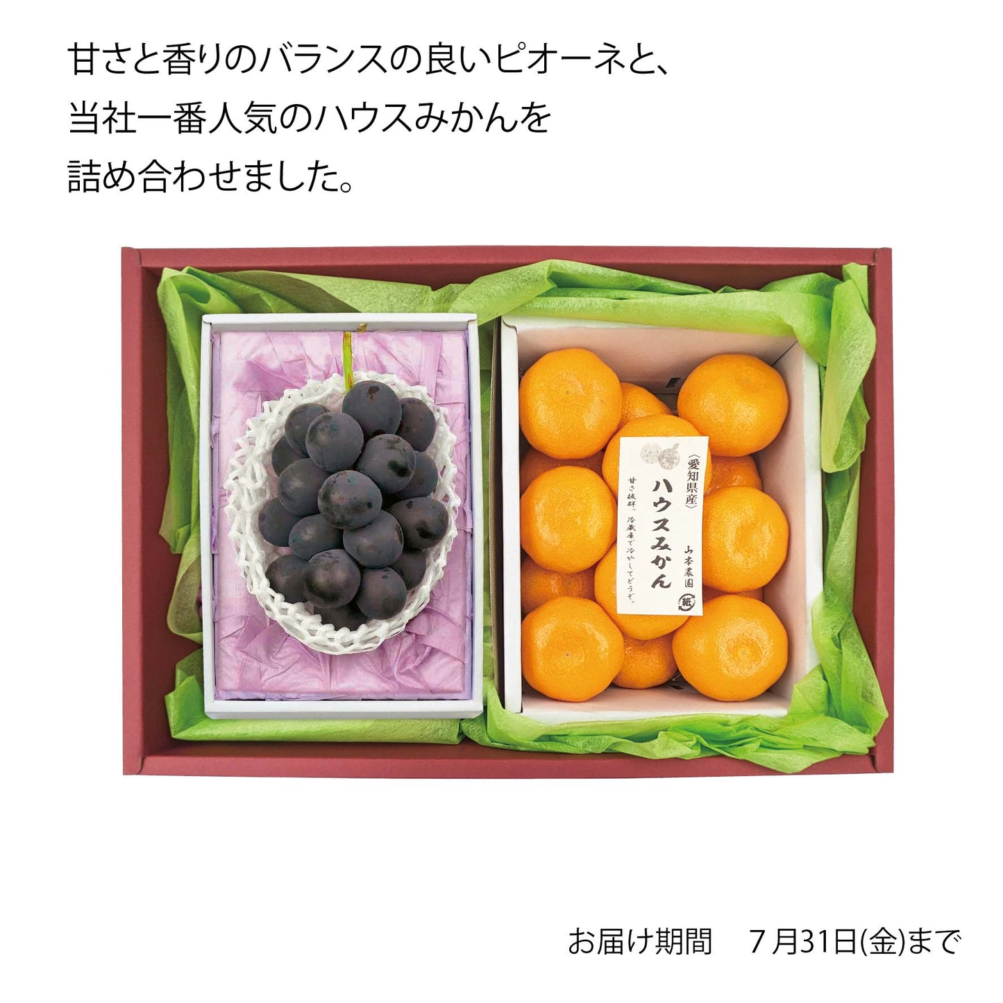 岡山県産　種無しピオーネ＆愛知県産　ハウスみかん