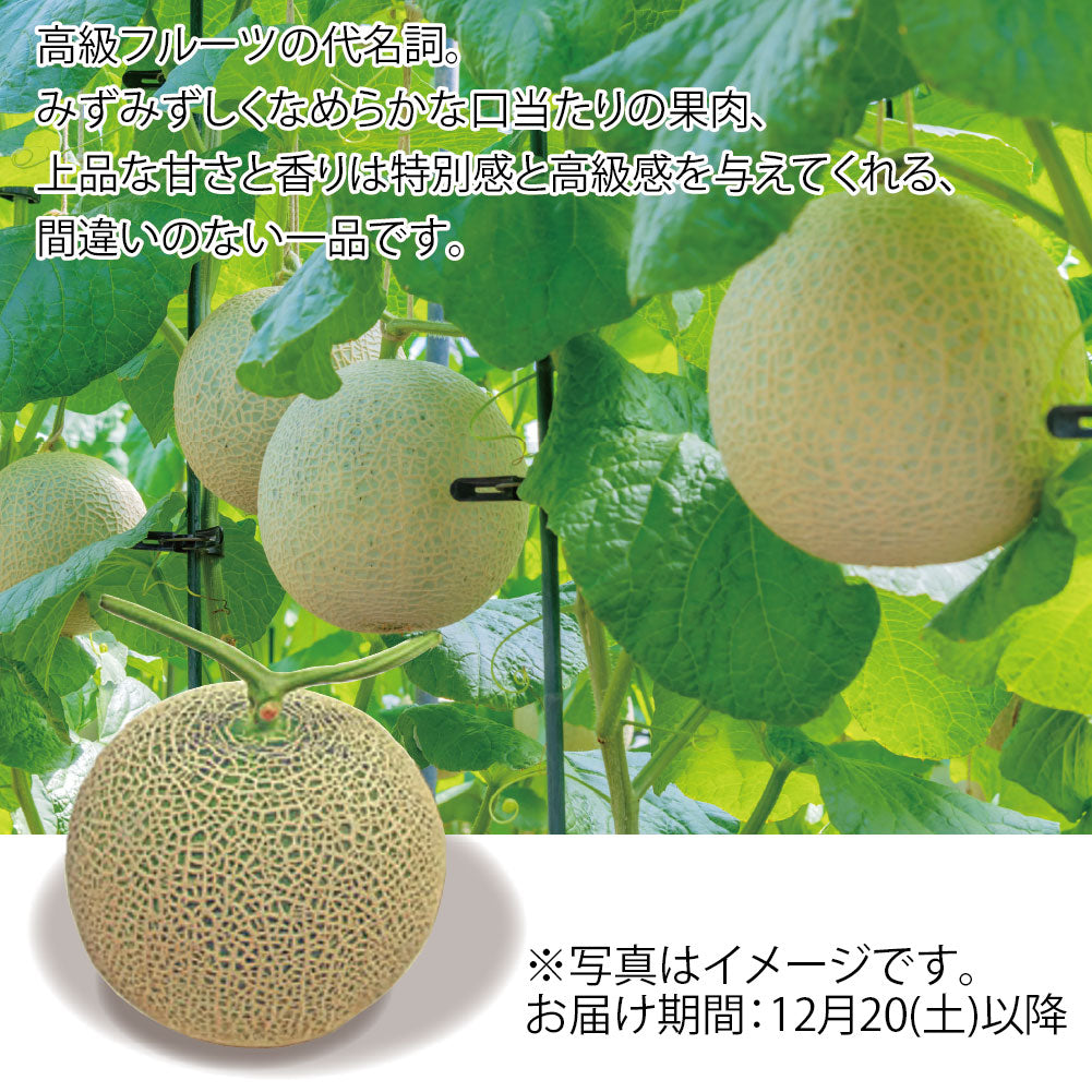 静岡県産　マスクメロン　1玉