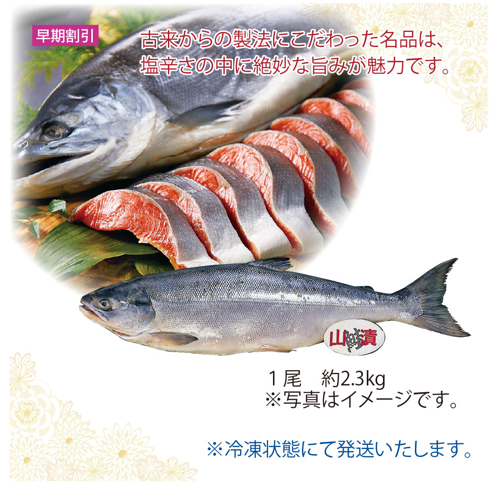ロシア産 「山漬加工」頭付塩紅鮭（中塩味）1尾 約2.3kg