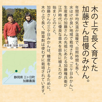 静岡県三ケ日町産 加藤柑橘園 三ケ日みかん L10Kg