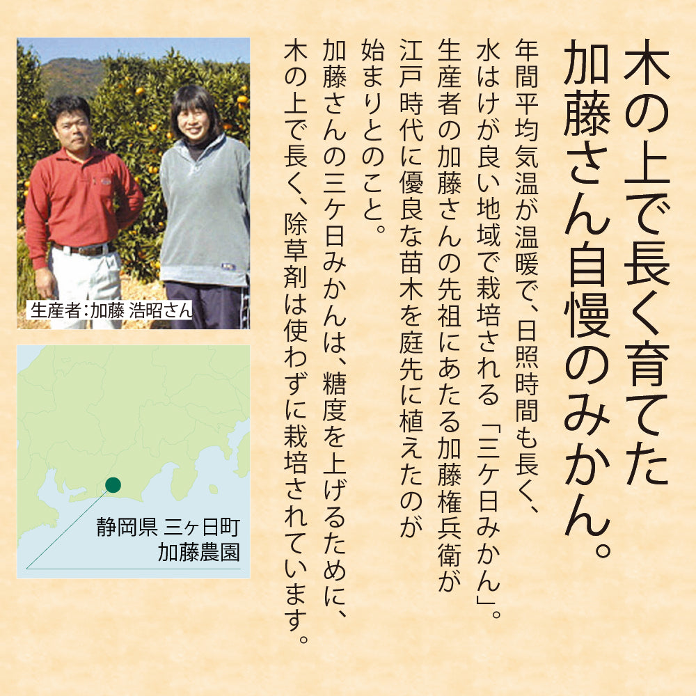 静岡県三ケ日町産 加藤柑橘園 三ケ日みかん L5Kg