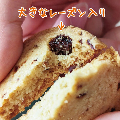 Pantry&Lucky クッキー レーズン 5枚入　　10個セット