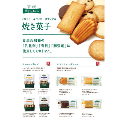 Pantry&Lucky フィナンシェ チョコレート 1個　　5個セット